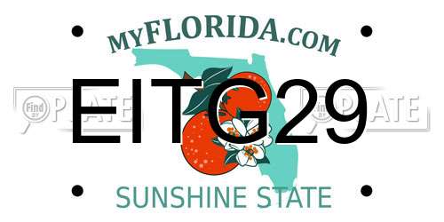 EITG29 Florida License Plate