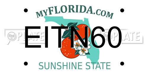 EITN60 Florida License Plate