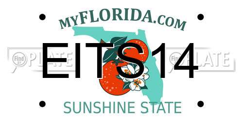 EITS14 Florida License Plate