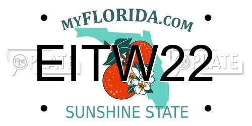 EITW22 Florida License Plate