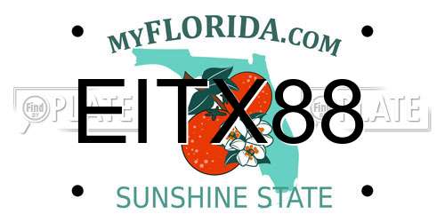 EITX88 Florida License Plate
