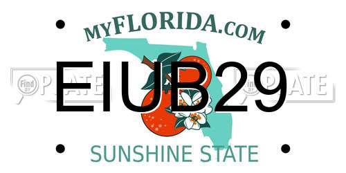 EIUB29 Florida License Plate