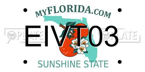 EIVT03 Florida License Plate