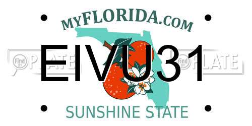 EIVU31 Florida License Plate