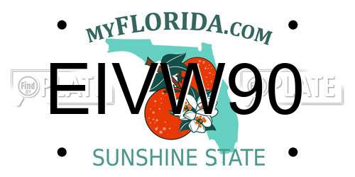 EIVW90 Florida License Plate