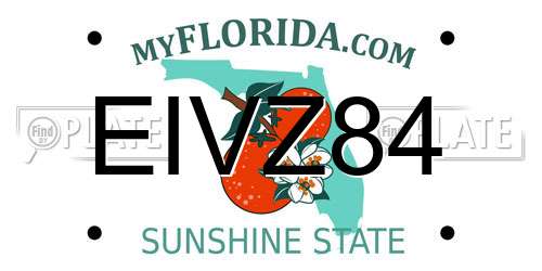 EIVZ84 Florida License Plate