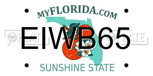 EIWB65 Florida License Plate