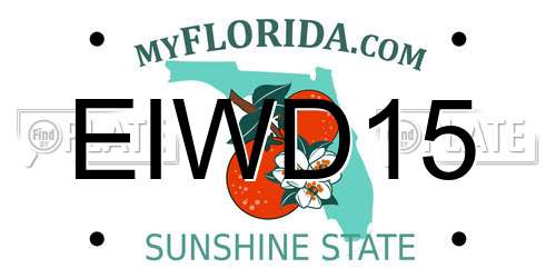 EIWD15 Florida License Plate