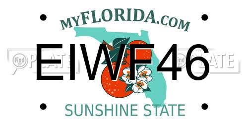 EIWF46 Florida License Plate