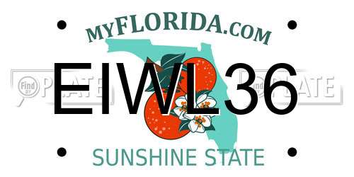 EIWL36 Florida License Plate