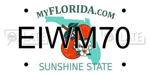 EIWM70 Florida License Plate