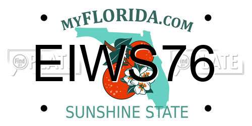 EIWS76 Florida License Plate