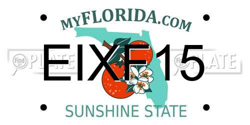 EIXF15 Florida License Plate