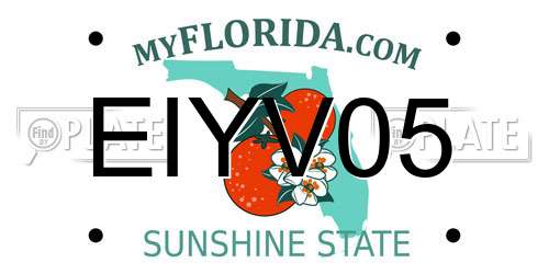 EIYV05 Florida License Plate