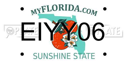 EIYY06 Florida License Plate
