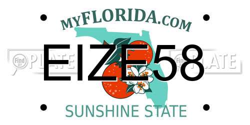 EIZE58 Florida License Plate
