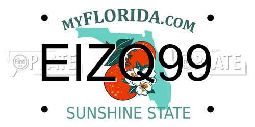 EIZQ99 Florida License Plate