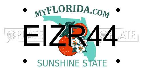 EIZR44 Florida License Plate