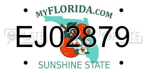 EJ02879 Florida License Plate