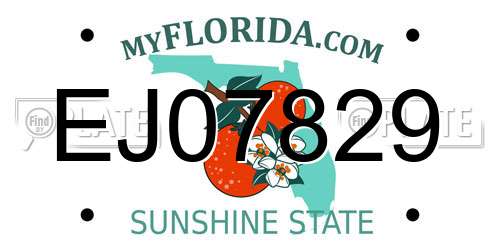 EJ07829 Florida License Plate