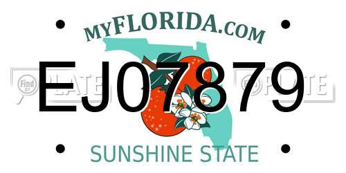 EJ07879 Florida License Plate