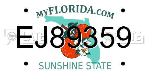 EJ89359 Florida License Plate