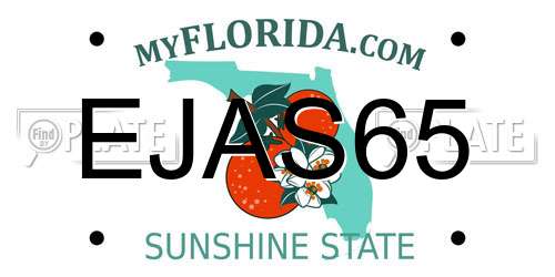 EJAS65 Florida License Plate