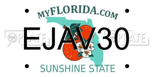 EJAV30 Florida License Plate