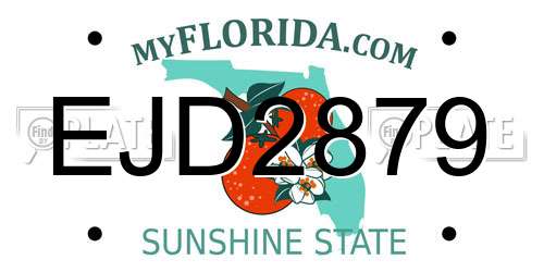 EJD2879 Florida License Plate