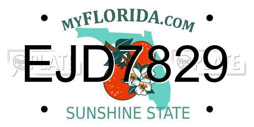 EJD7829 Florida License Plate