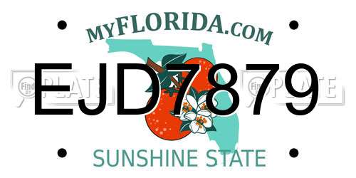 EJD7879 Florida License Plate