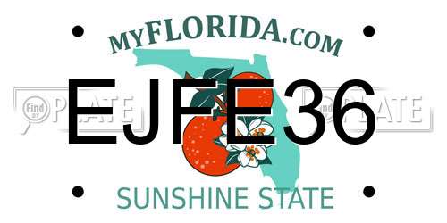 EJFE36 Florida License Plate