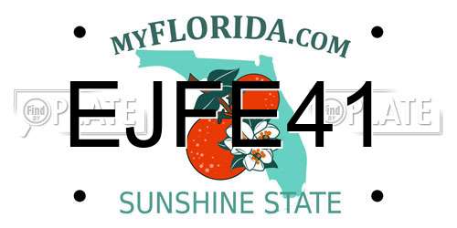 EJFE41 Florida License Plate