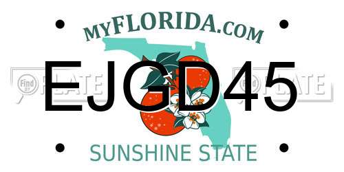EJGD45 Florida License Plate