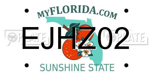 EJHZ02 Florida License Plate