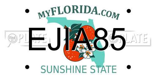 EJIA85 Florida License Plate