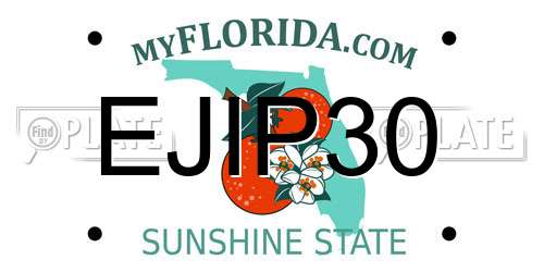 EJIP30 Florida License Plate