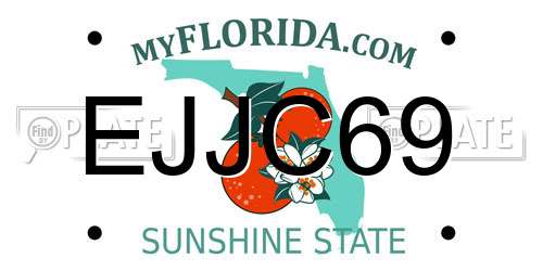EJJC69 Florida License Plate