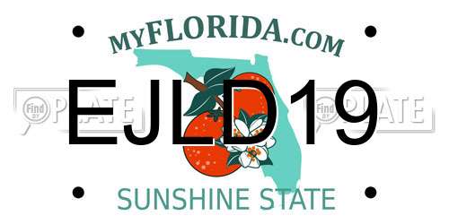 EJLD19 Florida License Plate