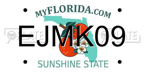 EJMK09 Florida License Plate
