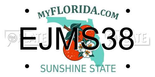 EJMS38 Florida License Plate