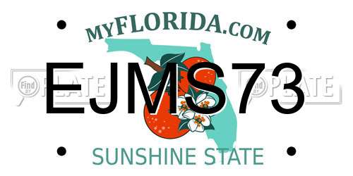 EJMS73 Florida License Plate