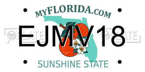 EJMV18 Florida License Plate