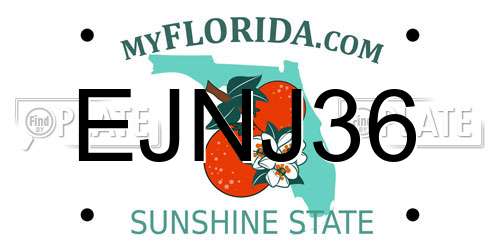 EJNJ36 Florida License Plate