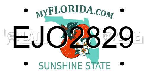 EJO2829 Florida License Plate