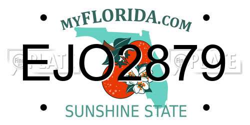 EJO2879 Florida License Plate