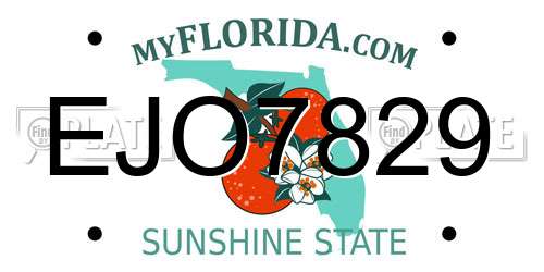 EJO7829 Florida License Plate