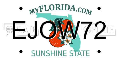 EJOW72 Florida License Plate