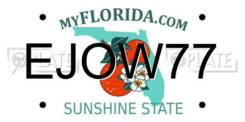 EJOW77 Florida License Plate