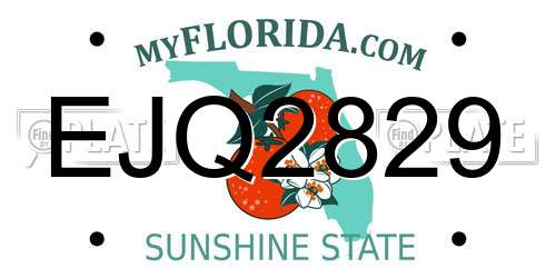 EJQ2829 Florida License Plate